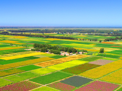 智慧灌区信息化系统助力灌区节水，打造绿色生态新农业