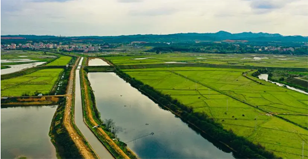 灌区图片