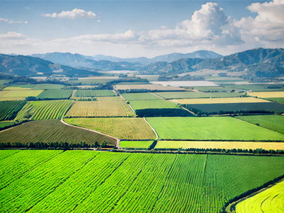基于数字孪生灌区的模型