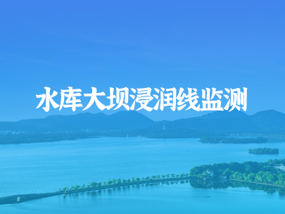 如何进行水库大坝浸润线监测？