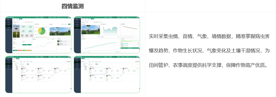 四情监测:实时采集虫情、苗情、气象、墒情数据,精准掌握病虫害爆发趋势、作物生长状况、气象变化及土壤干湿情况,为田间管护、农事调度提供科学支撑,保障作物高产优质。